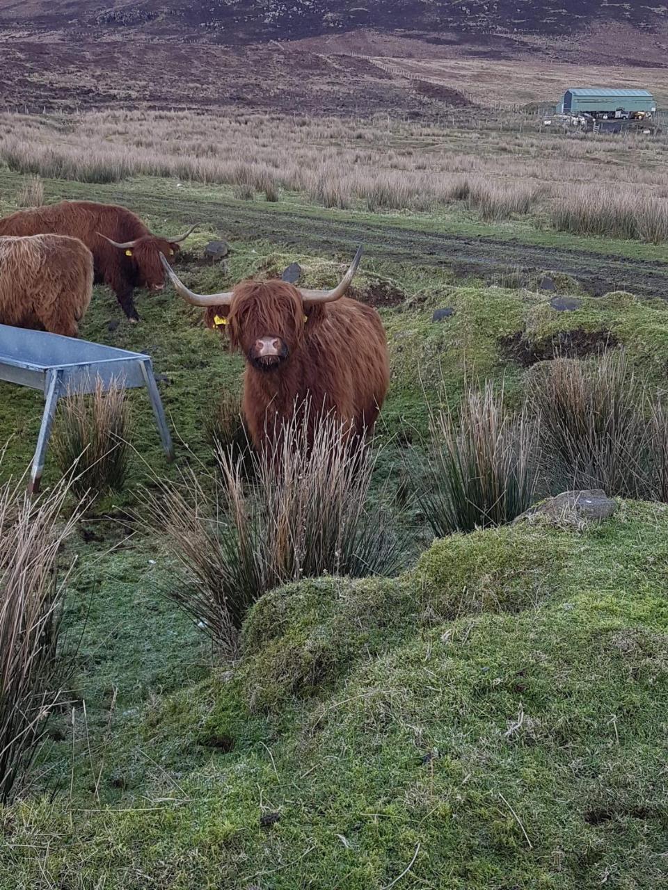 Trotternish B&B Kingsburgh Luaran gambar